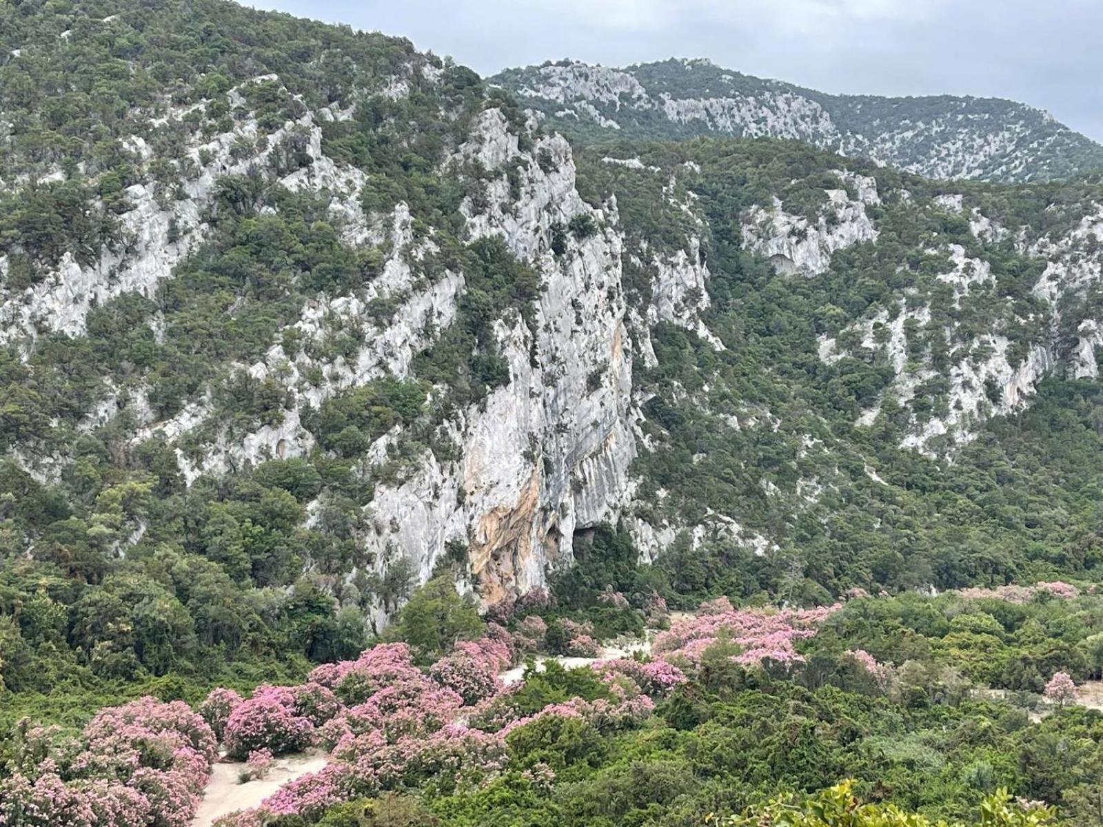 Hotel Sa Troppa De Sos Chentu à Dorgali Extérieur photo